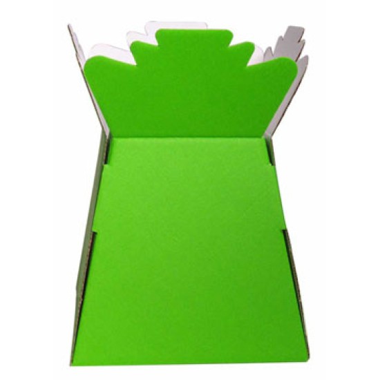 Transporter Vase Lime Green Florists Supplies